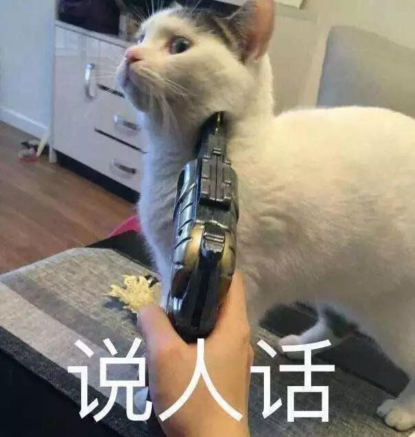 阻断牌1.jpg